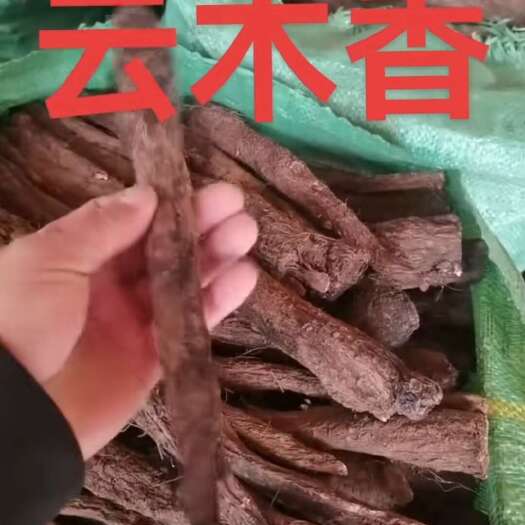 维西县木香，云南的，
