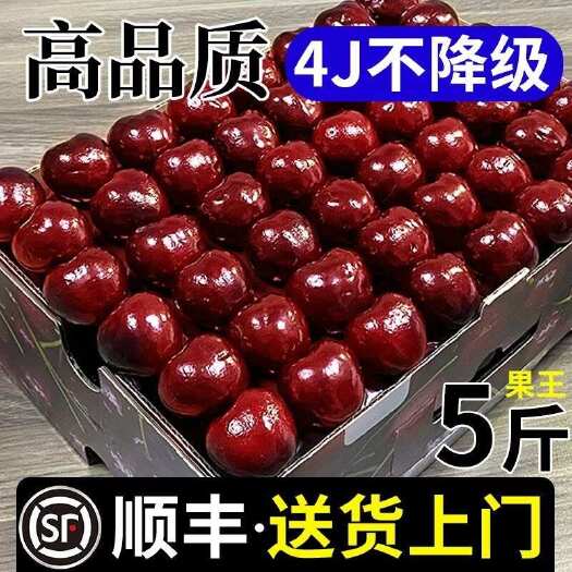 恩平市【顺丰现货】礼盒装智利车厘子JJJD果王5斤装199包邮