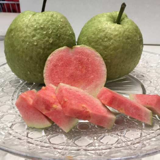 厦门红宝石芭乐