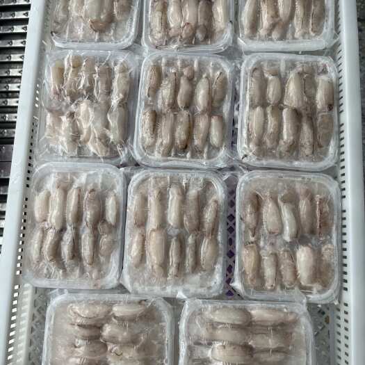 东山县蟹脚肉扁蟹钳肉东山岛蟹腿肉蟹肉棒鲜剥火锅排挡专用