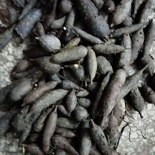 祁阳市白蔹新鲜现挖现发