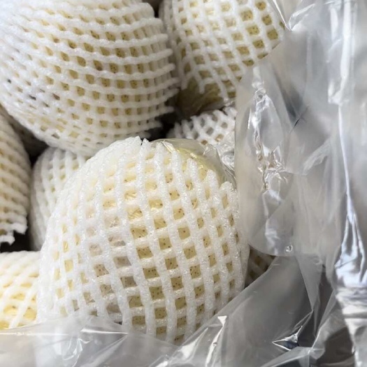 阳信县鸭梨  果园直供全部大果保证果品质量支持验货没有中间商