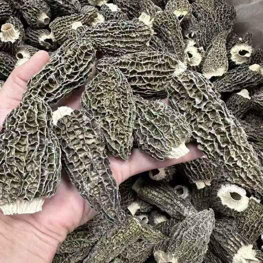 精品羊肚菌干货羊肚菌多规格基地直供批发保质保量
