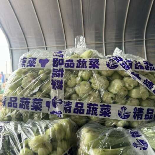 邯郸油菜