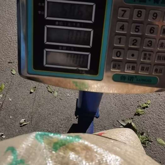 滕州市国产黄大豆2等品 滕州市直发 新鲜质优