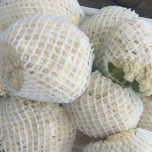 峨山县云南青梗松花，1斤至3斤，花面纯白！，半高脚，半青杆，青杆