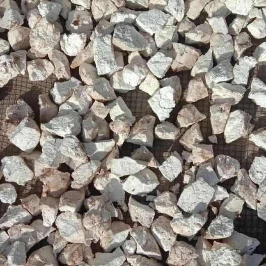 楚雄市云南深山正宗白茯苓去皮生切茯苓无硫精品丑茯苓