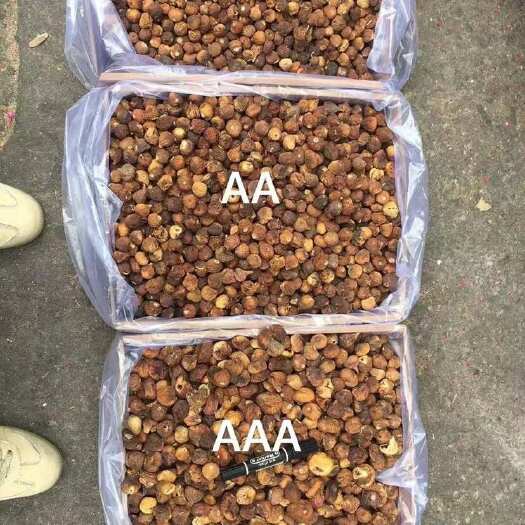 广州无花果干