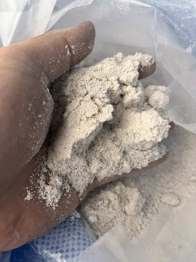 中药材牡蛎粉 公司货含量足 大货供应