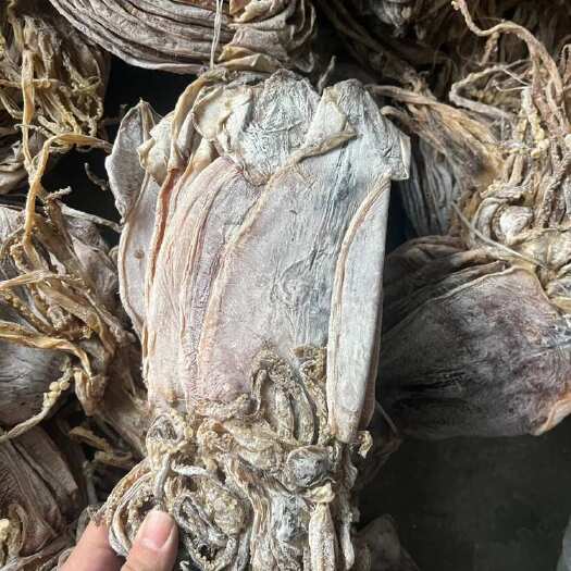 荣成市鱿鱼干