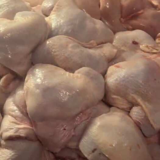 滦州市新鲜分割鸡边腿 大量有货
