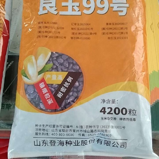 夏邑县良玉99玉米种子，一袋4200粒，黄金粮，潜力盾，轴细粒深，