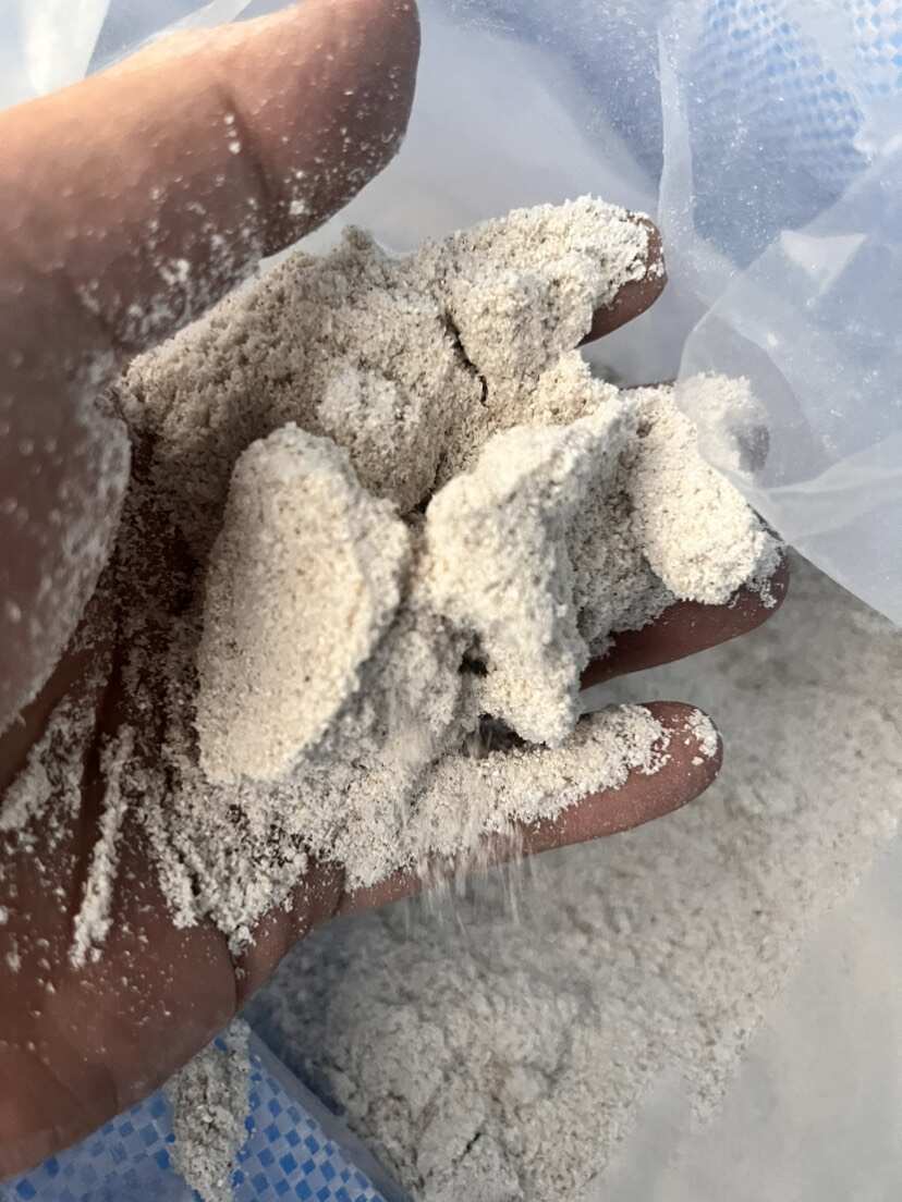 中药材牡蛎粉 公司货含量足 大货供应