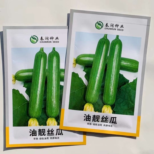 沭阳县油靓丝瓜短油皮一代杂交丝瓜种子抗病丰产春秋油亮丝瓜大田用种子