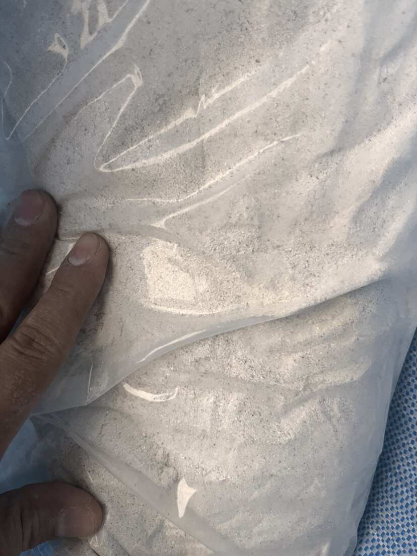中药材牡蛎粉 公司货含量足 大货供应