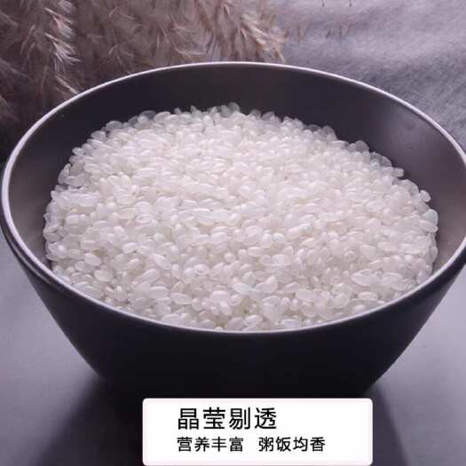 哈尔滨双鸭山24年圆粒新米