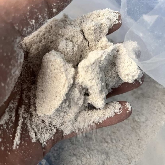 普宁市中药材牡蛎粉 公司货含量足 大货供应