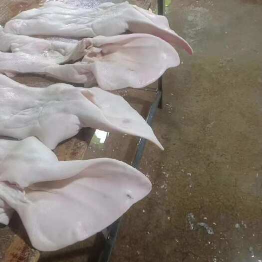 长沙肥猪半张带耳头皮