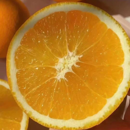 赣南脐橙