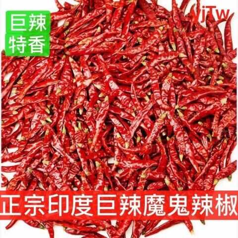 柘城县优质特辣印度椒s17