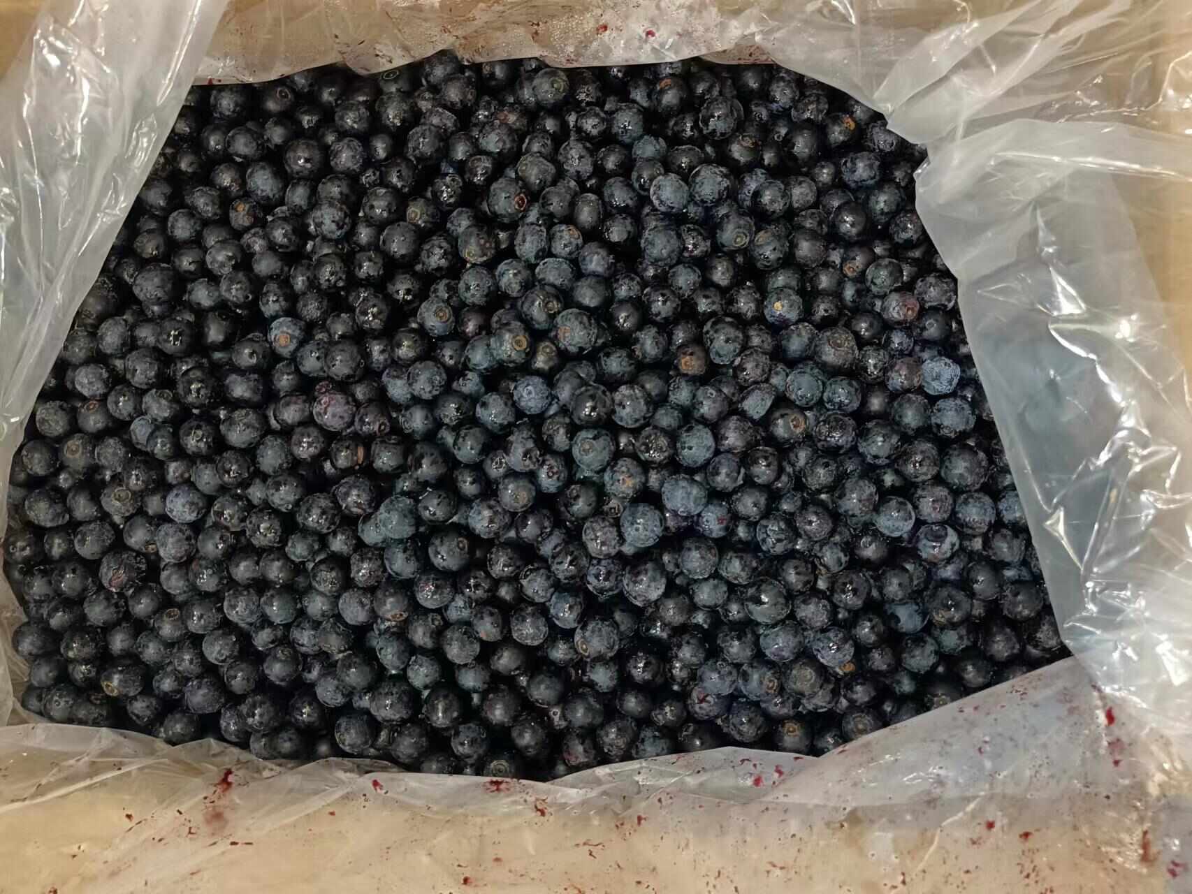 贵州高山蓝莓果，冷冻蓝莓果，蓝莓原材料供应