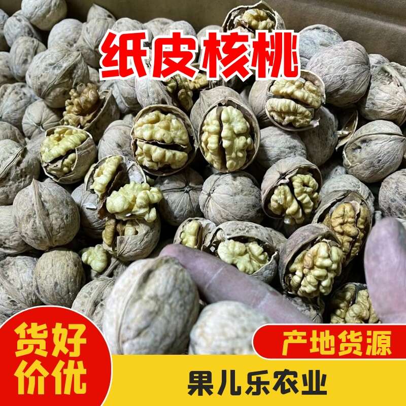 新疆阿克苏185纸皮核桃 25年新核桃