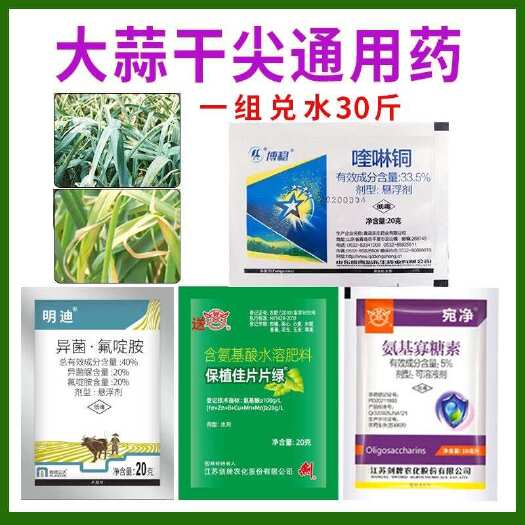 诸城市葱姜蒜韭菜干尖正品黄叶干叶片浓绿亮泽增产叶面肥整箱干尖灵批发