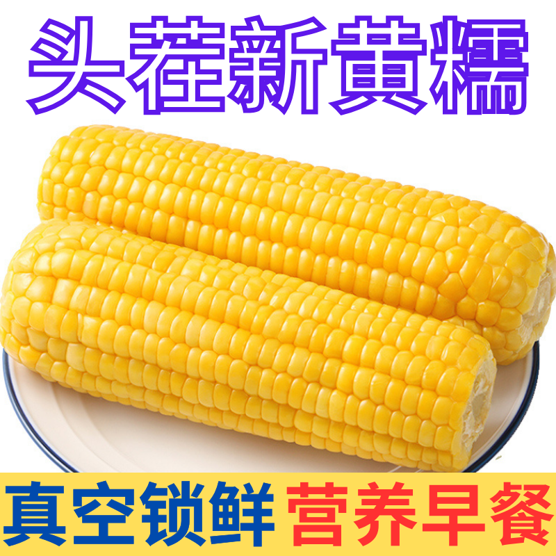 【10棒东北黄糯玉米】2024年东北糯玉米新鲜香甜糯玉米真空