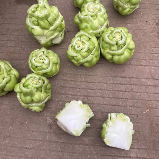 資陽榨菜，青菜頭，疙瘩菜，市場貨，廠貨，切片，拉絲，嫩氣，不空