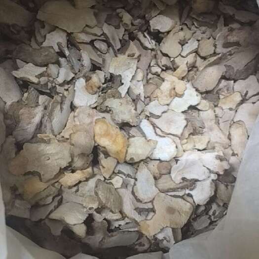 广州土伏苓规格多多，欢迎咨询