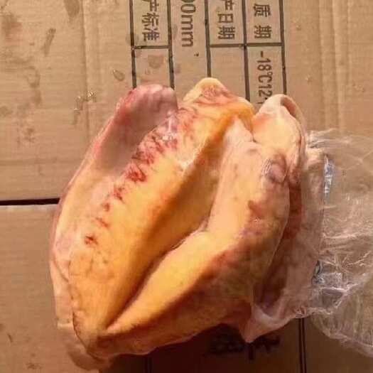 黄胸口