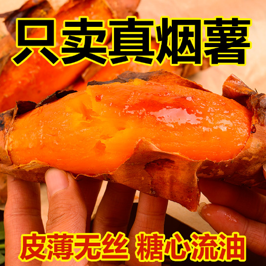 迁安市批发烟薯25   流油蜜薯   红薯