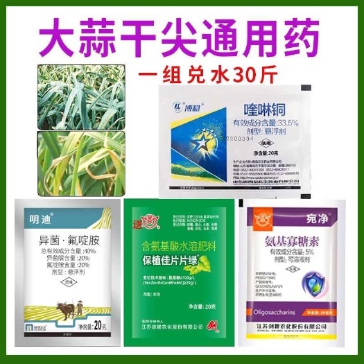 葱姜蒜韭菜干尖通用药预防干尖黄叶干尖灵浓绿亮泽增产专用叶面肥