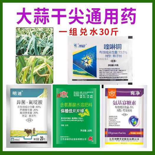 诸城市葱姜蒜韭菜干尖通用药预防干尖黄叶干尖灵浓绿亮泽增产专用叶面肥