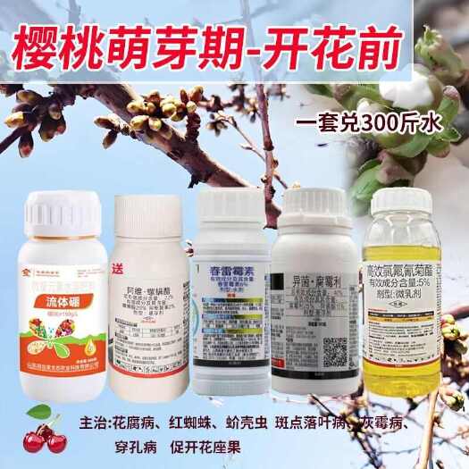 诸城市樱桃开花前一遍药大樱桃树叶斑病褐斑病流胶病杀虫杀菌专用药套餐