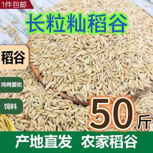 郎溪县今年新稻谷 带壳谷子喂鸡喂鸭鸽子 一袋50斤/80斤包邮