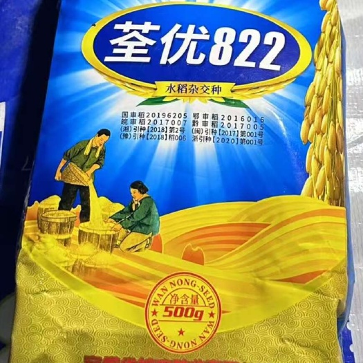 沭阳县杂交水稻种子大全荃优822优质高产抗倒伏国审稻谷种子原装正品