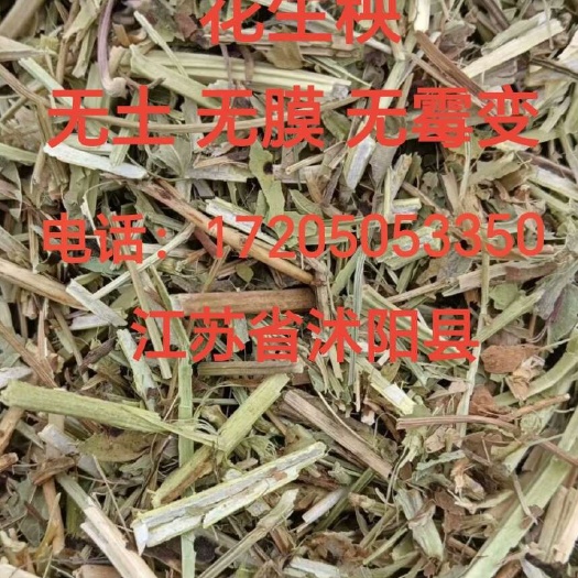 沭阳县2024年 新花生秧 无土无膜无霉 都是手摘花生秧 叶子货