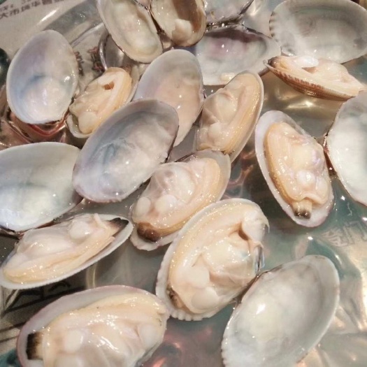 辽宁东港无沙花甲批发欢迎预订