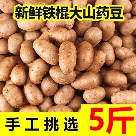 大号山药豆新鲜5斤铁棍铁杆山药豆做糖葫芦特大小白嘴山药蛋包邮