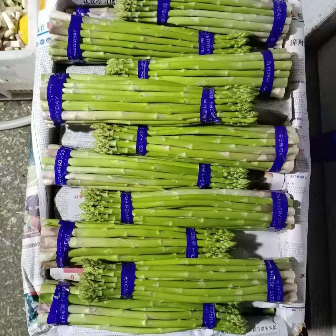 福建绿芦笋