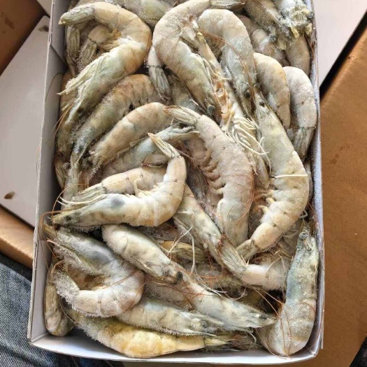 北海虾