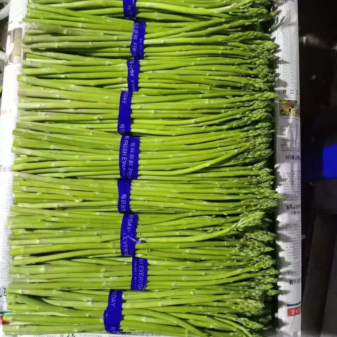 福建绿芦笋