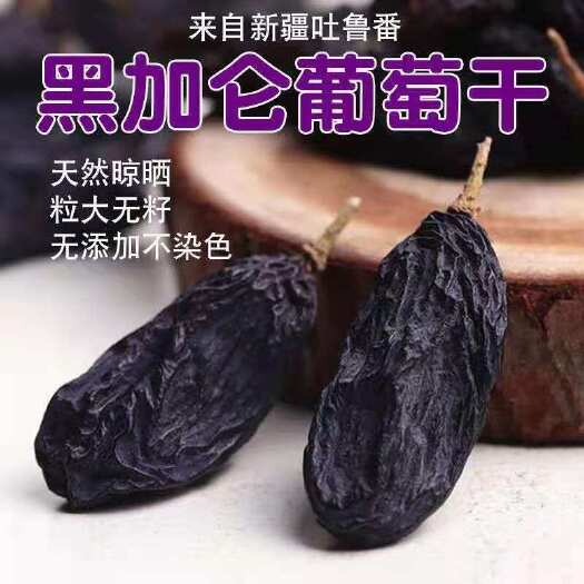 亳州黑加仑