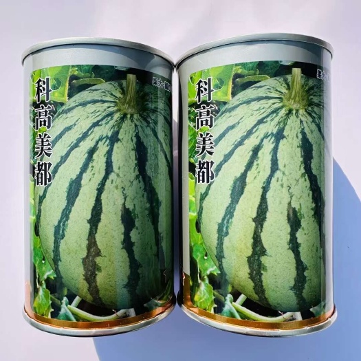 宿迁西瓜种子赣科大果美都西瓜种子  科高美都西瓜种子