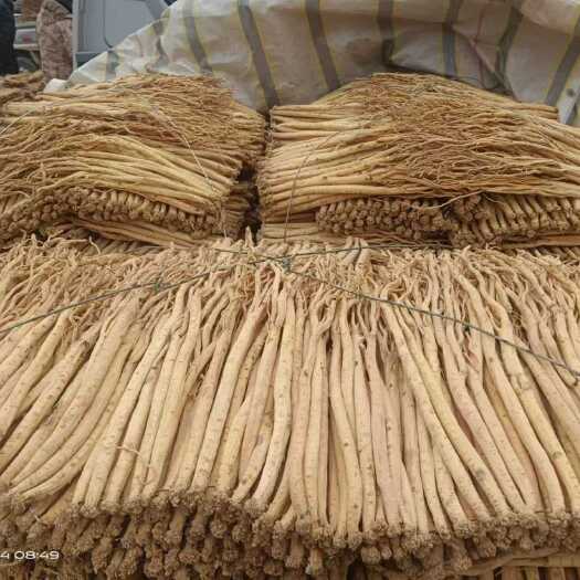 岷县精品党参