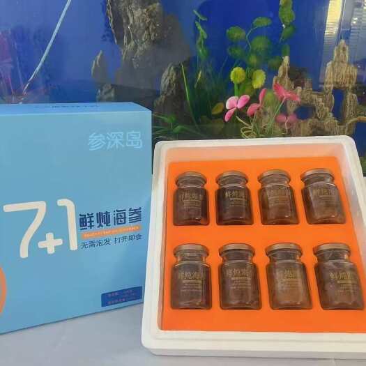 大连鲜炖海参礼盒