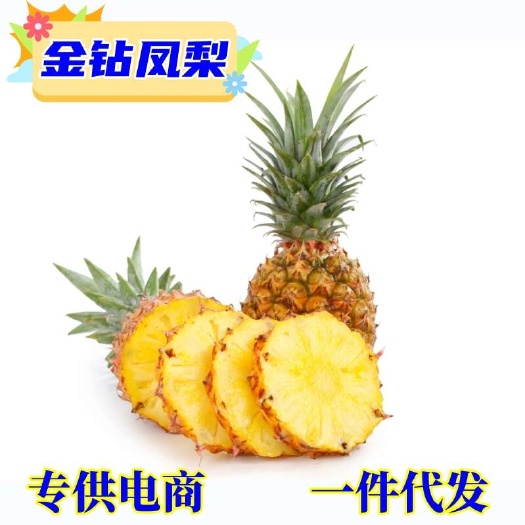 一件代发海南手撕金钻凤梨 当季时令水果供应电商各大平台直播
