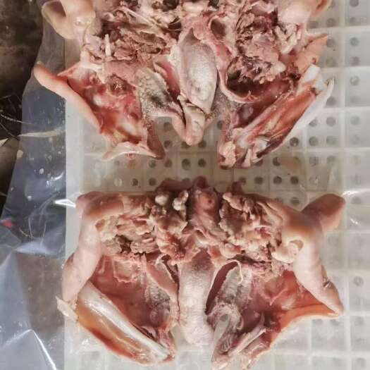 郑州羊头肉，羊脸肉，精修去淋巴，全国冷链发货