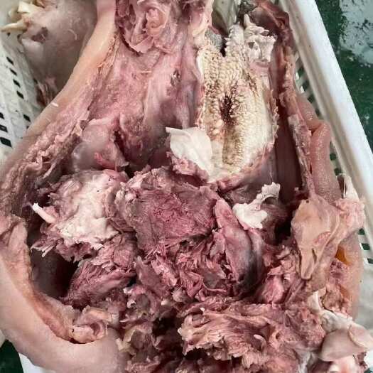 阳信县原味熟去骨牛头肉，物美价廉，量大优惠，做杂、炒菜、凉拌佳品！